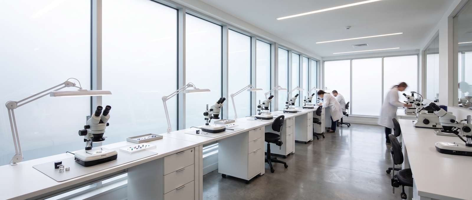A gemological grading bench with microscopes and daylight-equivalent lamps